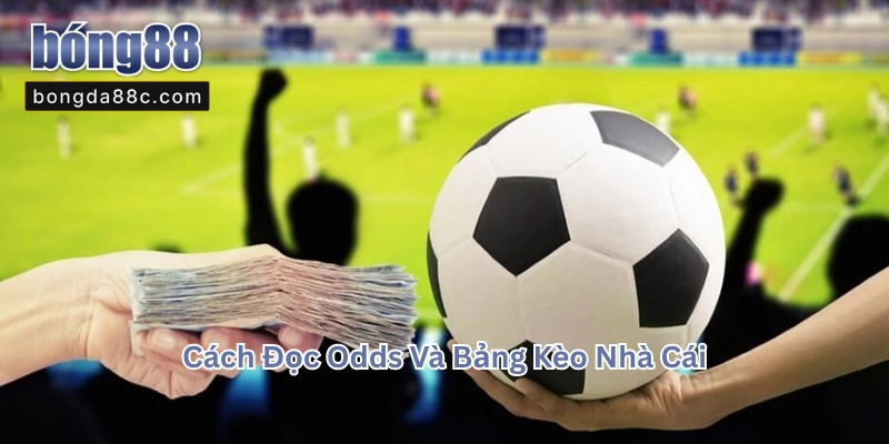 Odds Là Gì